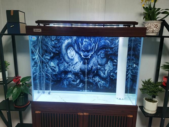 紅龍魚缸造景圖片高清壁紙