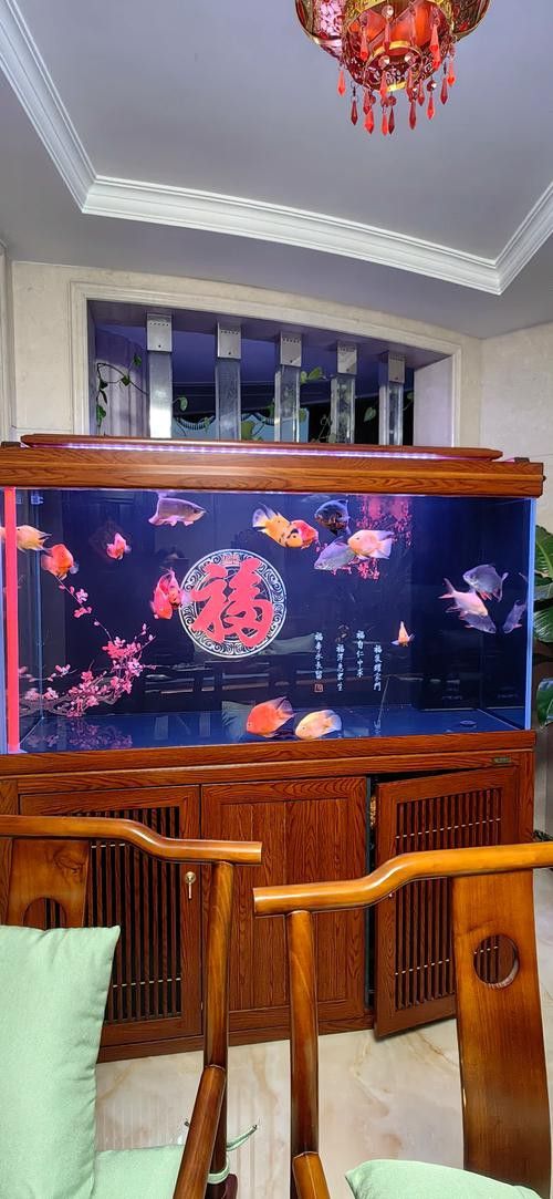 紅龍魚缸造景圖片高清壁紙