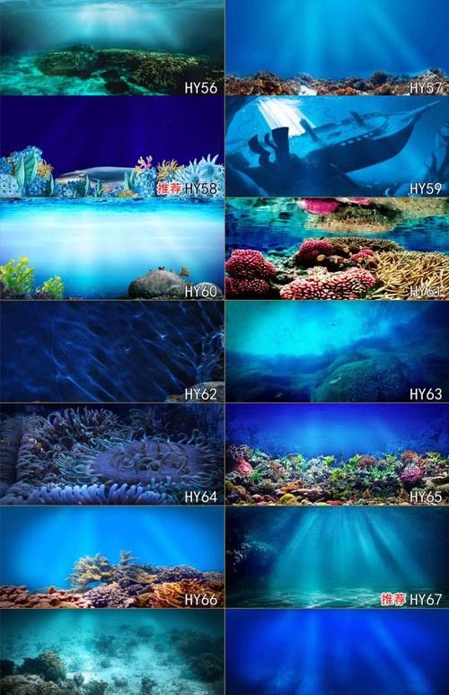 紅龍魚缸造景圖片高清壁紙