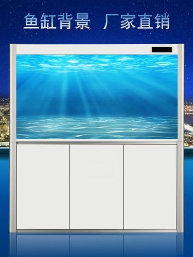 紅龍魚缸造景圖片高清壁紙