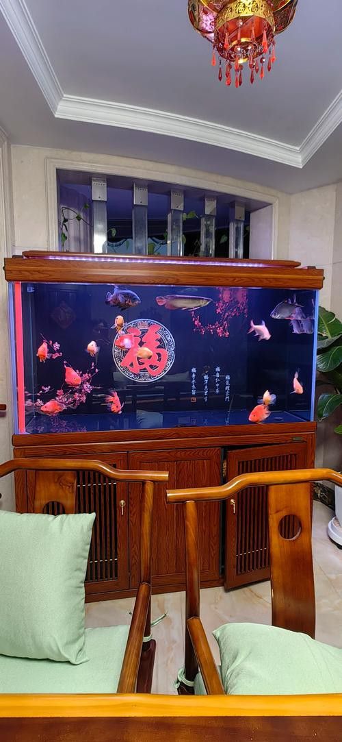 紅龍魚缸造景圖片高清壁紙