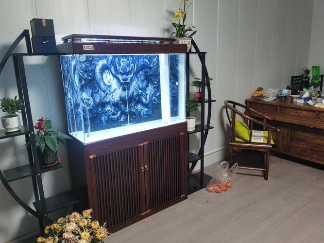 紅龍魚缸造景圖片高清壁紙