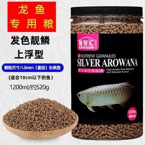 金龍魚vs銀龍魚：金龍魚和銀龍魚哪個好養金龍魚和銀龍魚的區別