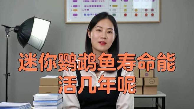 龍魚吃蝦的好處（龍魚吃蝦有哪些好處？）