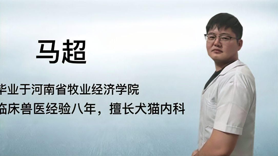 龍魚吃蝦的好處（龍魚吃蝦有哪些好處？）