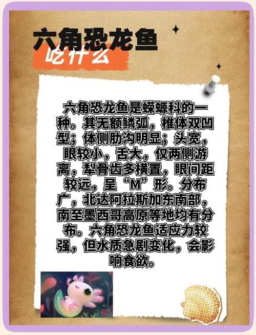 六角恐龍魚怎么養(yǎng)及喂養(yǎng)技巧圖片欣賞