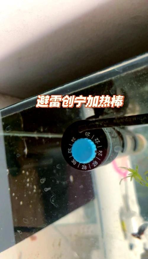 推薦幾款適合古龍魚的加熱棒品牌 龍魚百科 第8張 推薦幾款適合古龍魚的加熱棒品牌 推薦幾款適合古龍魚的加熱棒品牌 龍魚百科 第8張