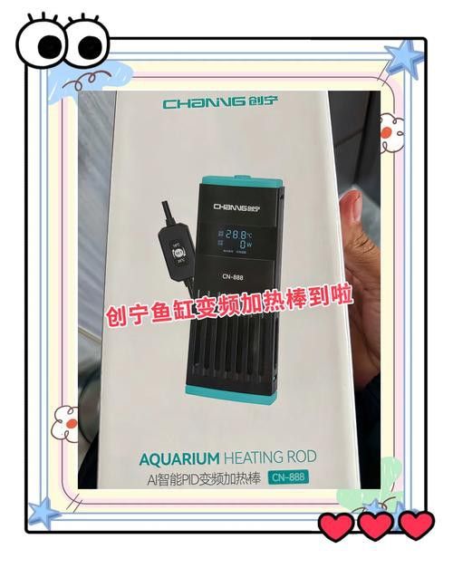 推薦幾款適合古龍魚的加熱棒品牌 龍魚百科 第6張 推薦幾款適合古龍魚的加熱棒品牌 推薦幾款適合古龍魚的加熱棒品牌 龍魚百科 第6張