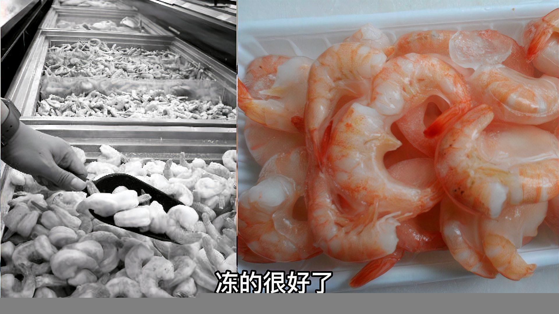 龍魚5個月不吃食怎么辦