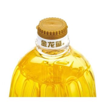 魚缸養缸的正確方法？