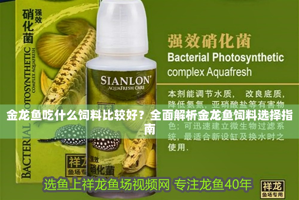 金龍魚缸用什么背景好看：金龍魚缸用什么背景好看金龍魚缸用什么背景好看