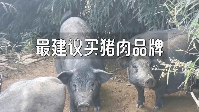 這些品牌或養(yǎng)殖場中哪個口碑最好？