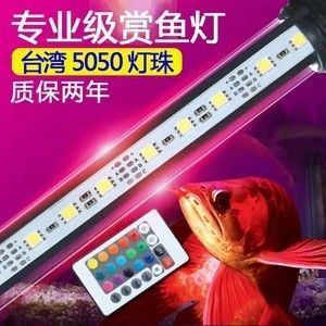 龍魚燈管好還是led燈好看點：龍魚燈管與led燈哪個更好