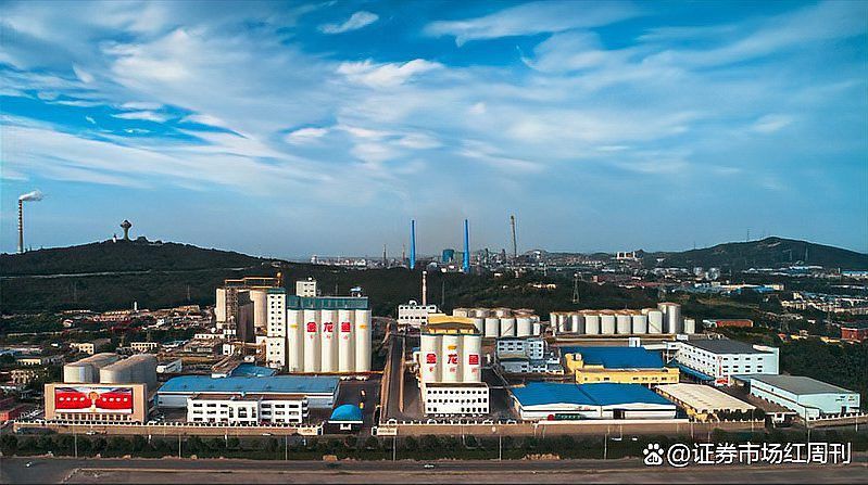 龍魚缸沉木放多少合適呢：龍魚缸沉木放多少合適？