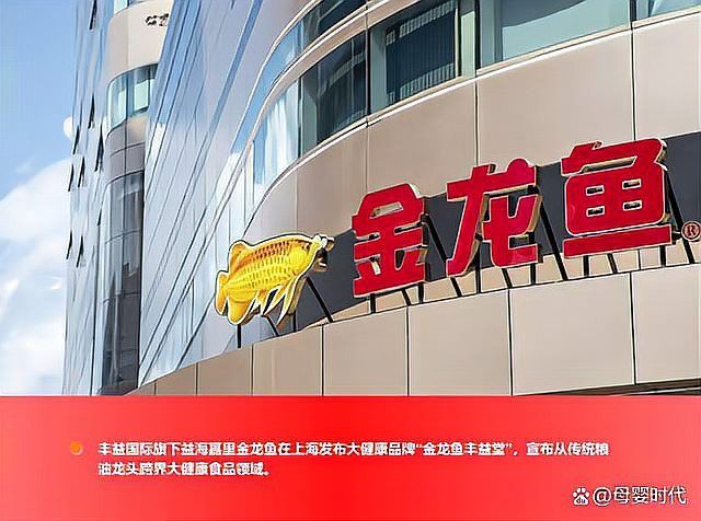 龍魚缸沉木放多少合適呢：龍魚缸沉木放多少合適？