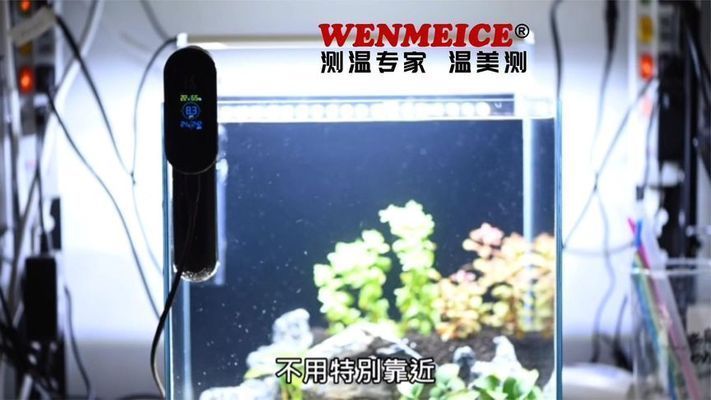 龍魚缸溫度計怎么用：如何正確使用龍魚缸溫度計