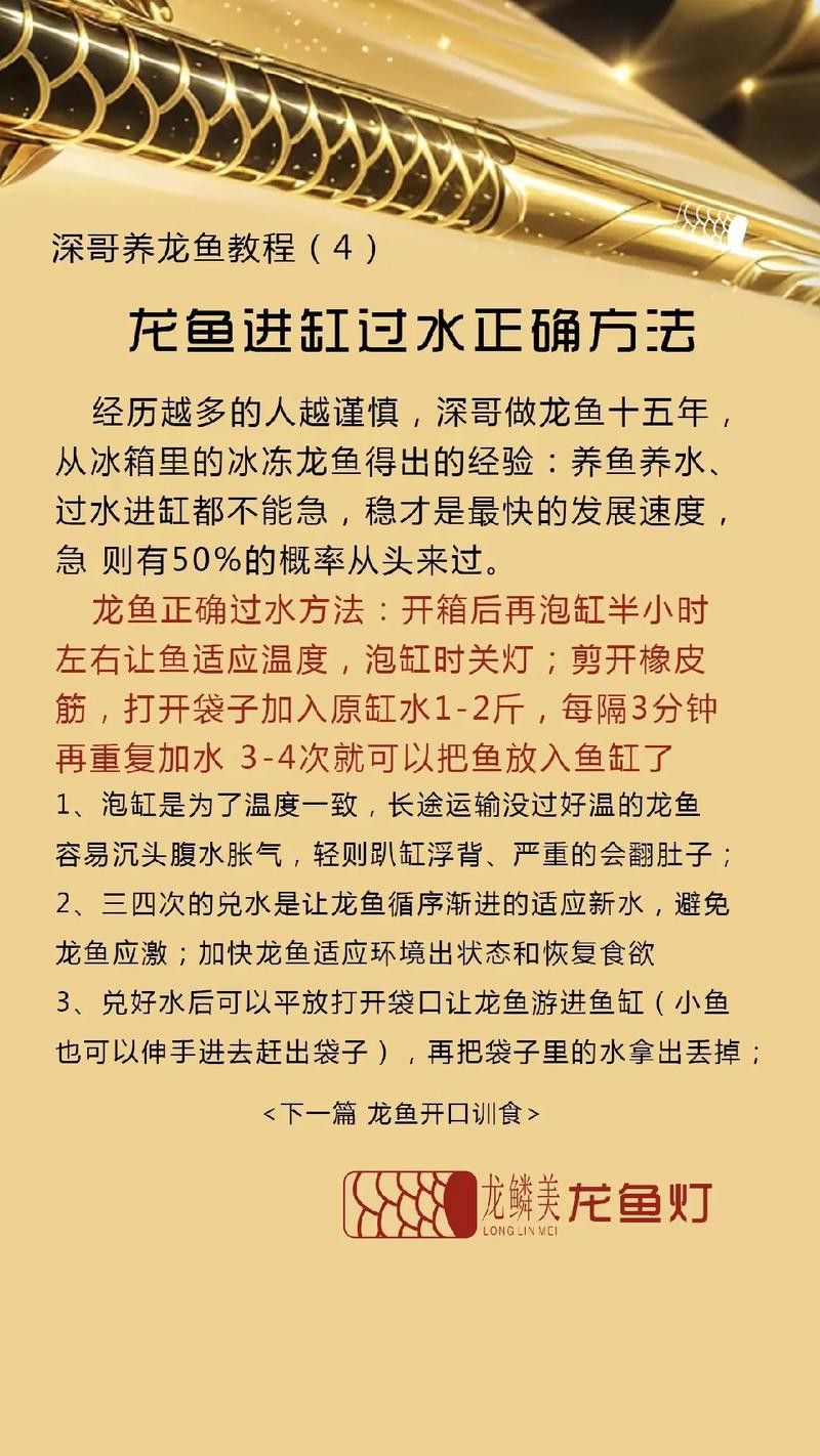 網上買龍魚怎么過水