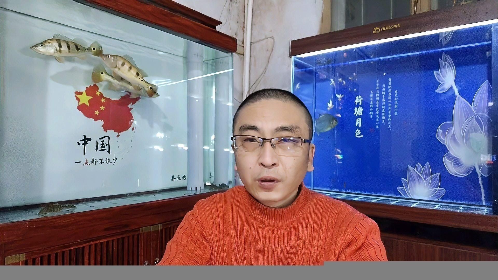 銀龍魚與鸚鵡魚混養(yǎng)好不好呀