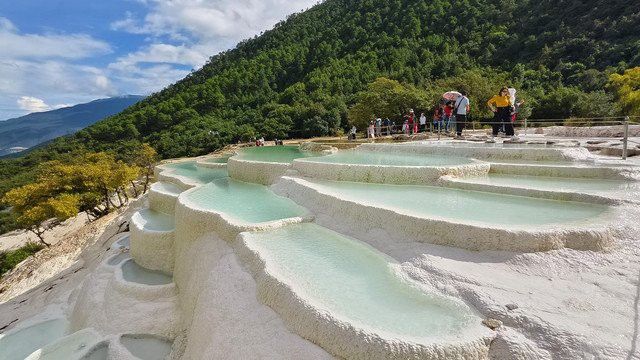 迪慶藏族自治州龍魚市場地址在哪里呀