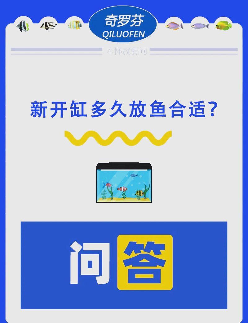 新缸消毒后多久可以養(yǎng)龜增色龍魚？