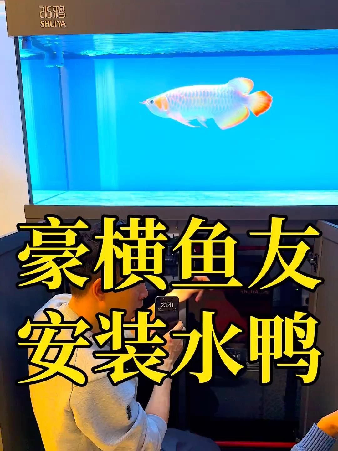 水鴉魚(yú)缸的用戶(hù)評(píng)價(jià)如何？