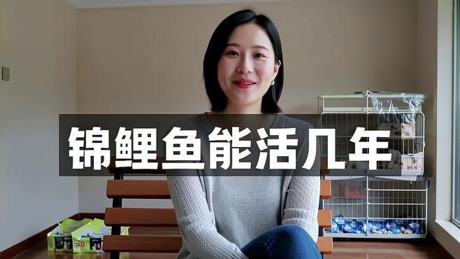 龍魚和錦鯉的壽命有多長？