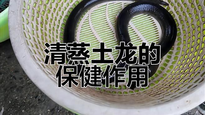閩南土龍魚的功效是什么