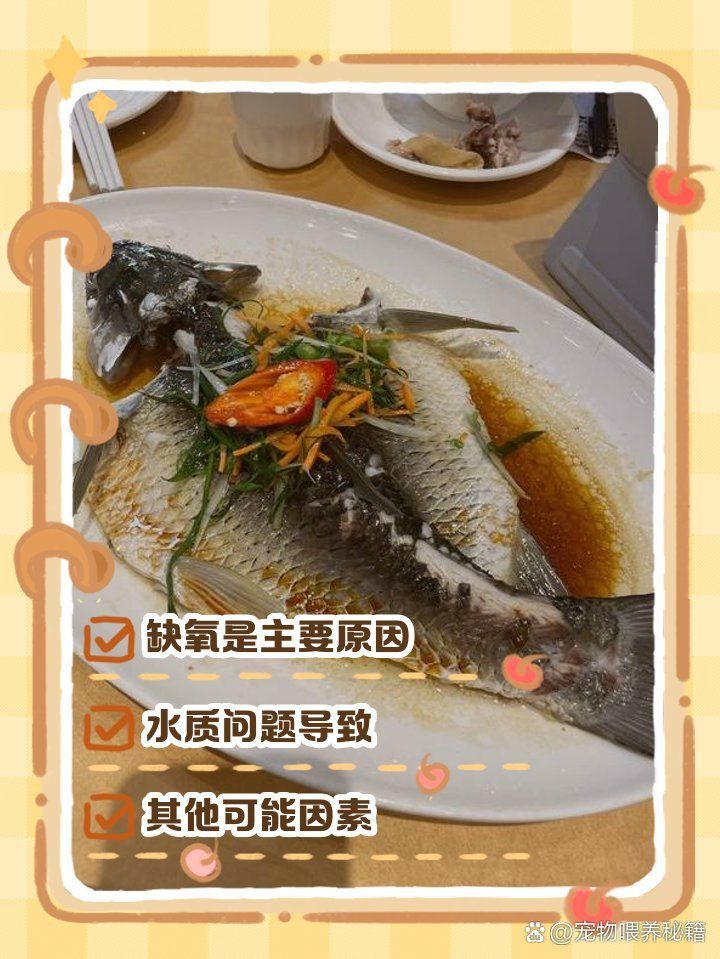 龍魚浮頭張嘴的梗怎么來的