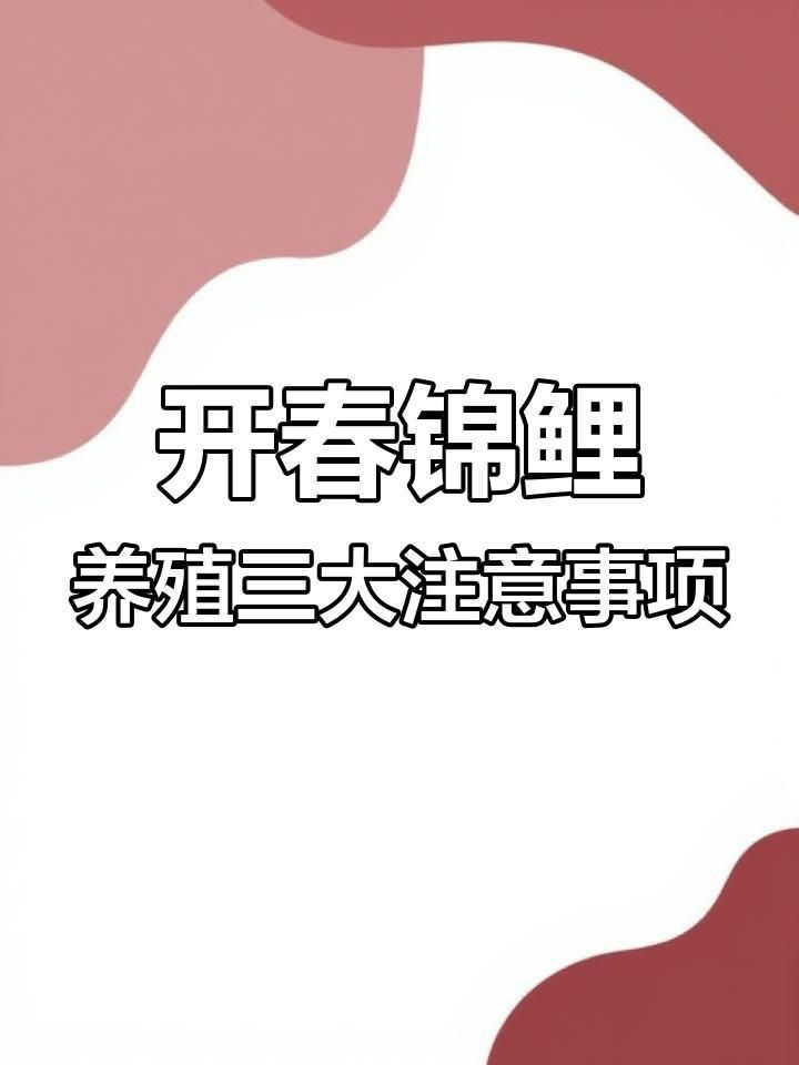 如何預防錦鯉魚鱗發紅充血？