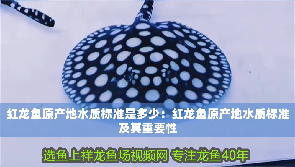 紅龍魚原產地水質標準是多少：紅龍魚原產地水質標準及其重要性