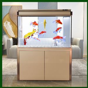 龍魚用什么背景好看又好養：選擇龍魚背景顏色時應考慮龍魚的種類、成長階段以及飼養環境等因素
