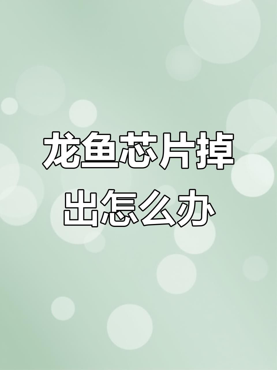 龍魚芯片植入費用是多少？