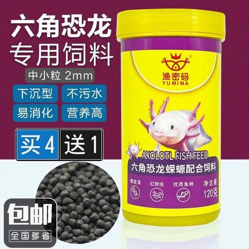 小恐龍魚吃什么長得快點 龍魚百科 第11張 小恐龍魚吃什么長得快點 小恐龍魚吃什么長得快點 龍魚百科 第11張