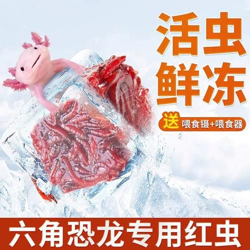 小恐龍魚吃什么長得快點 龍魚百科 第13張 小恐龍魚吃什么長得快點 小恐龍魚吃什么長得快點 龍魚百科 第13張