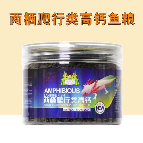 小恐龍魚吃什么長得快點 龍魚百科 第12張 小恐龍魚吃什么長得快點 小恐龍魚吃什么長得快點 龍魚百科 第12張