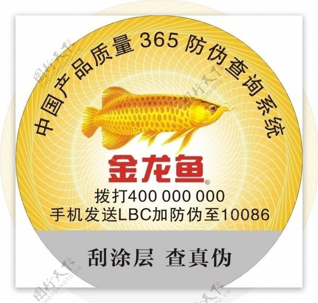 金龍魚真假辨別（如何辨別金龍魚的真偽）