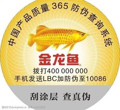 金龍魚真假辨別（如何辨別金龍魚的真偽）