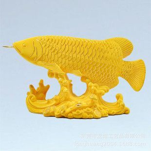 龍魚混養打架能恢復好嗎：龍魚混養打架后能否恢復好