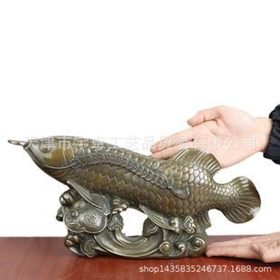 龍魚混養打架能恢復好嗎：龍魚混養打架后能否恢復好