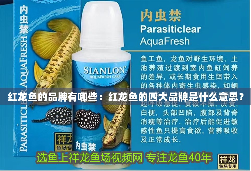紅龍魚的品牌有哪些：紅龍魚的四大品牌是什么意思？