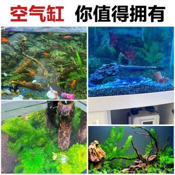 金龍魚(yú)咸陽(yáng)總經(jīng)銷地址
