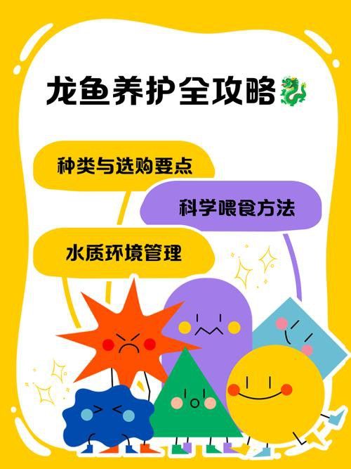 混養龍魚怎么才不打架