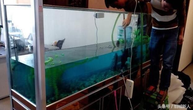 魚缸不用經常換水辦法視頻（過濾設備選擇指南魚缸水質檢測技巧）