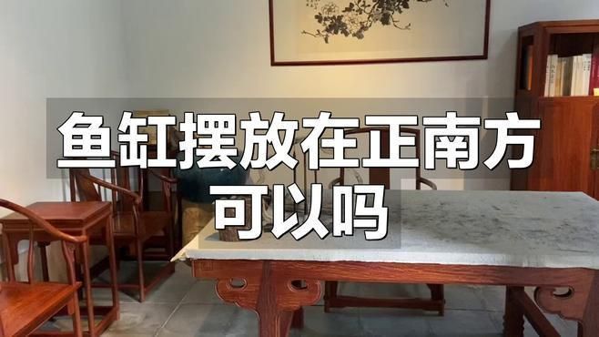 如何選擇適合南方擺放的魚缸？