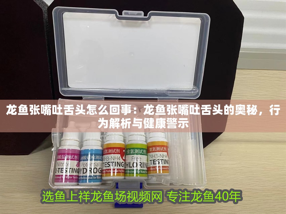 龍魚張嘴吐舌頭怎么回事：龍魚張嘴吐舌頭的奧秘，行為解析與健康警示