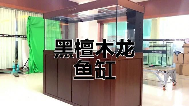 龍魚缸什么牌子的好用又實(shí)惠