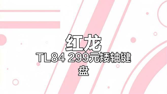 紅龍品牌哪個型號性價比最高？
