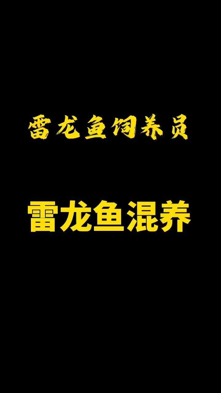 紅龍魚要吃什么魚糧：紅龍魚的喂食應注意以下幾點紅龍魚的發色與其飲食密切相關