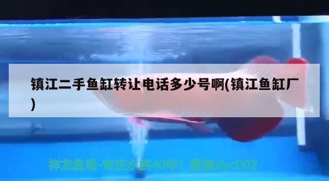 鎮江二手魚缸轉讓電話多少號啊(鎮江魚缸廠)