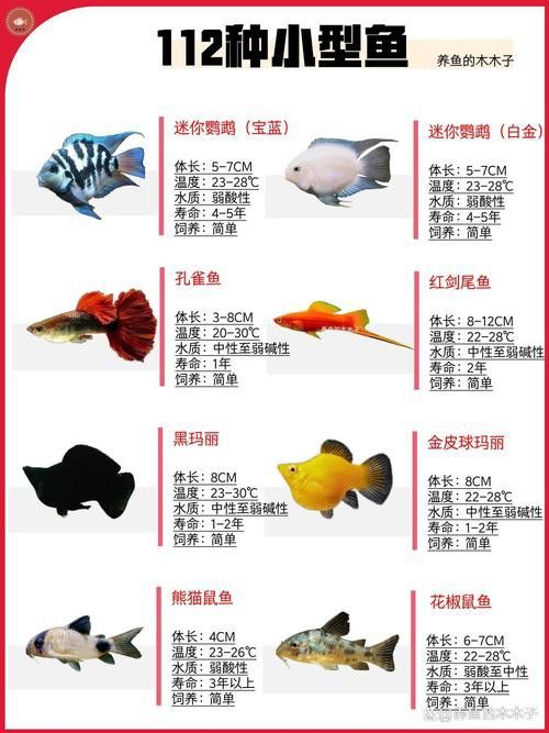 混養伙伴如何選擇體型？